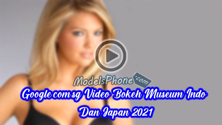 Google.com.sg Video Bokeh Museum Indo Dan Japan 2021