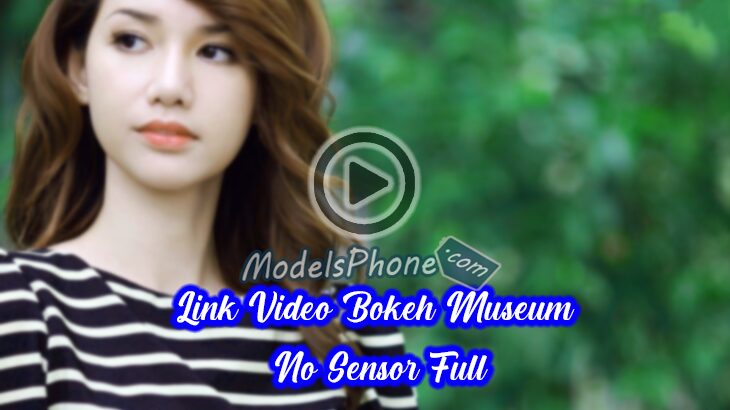 Link Video Bokeh Museum No Sensor Full